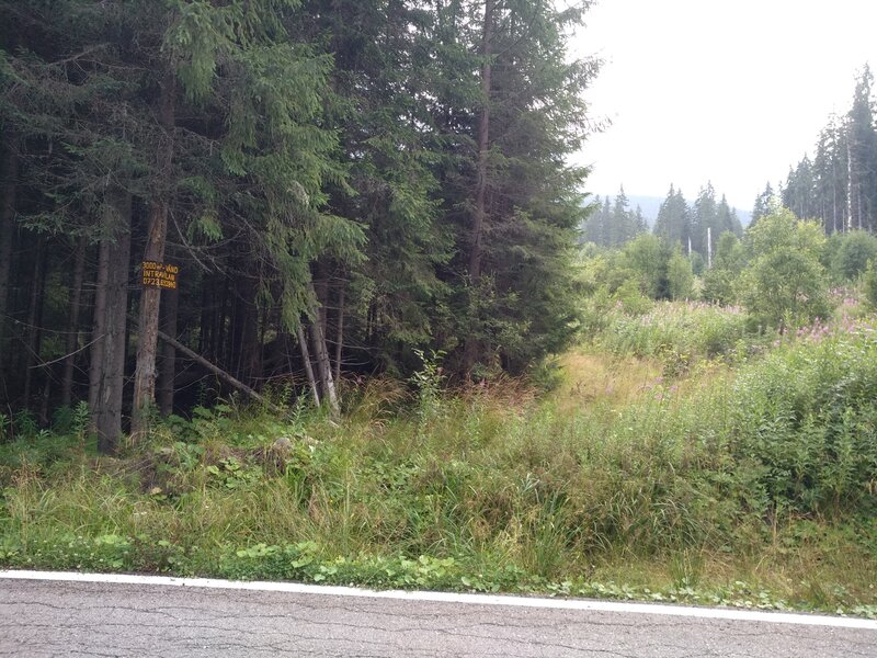 Zona Puru, lac Vidra, Voineasa, jud. Valcea