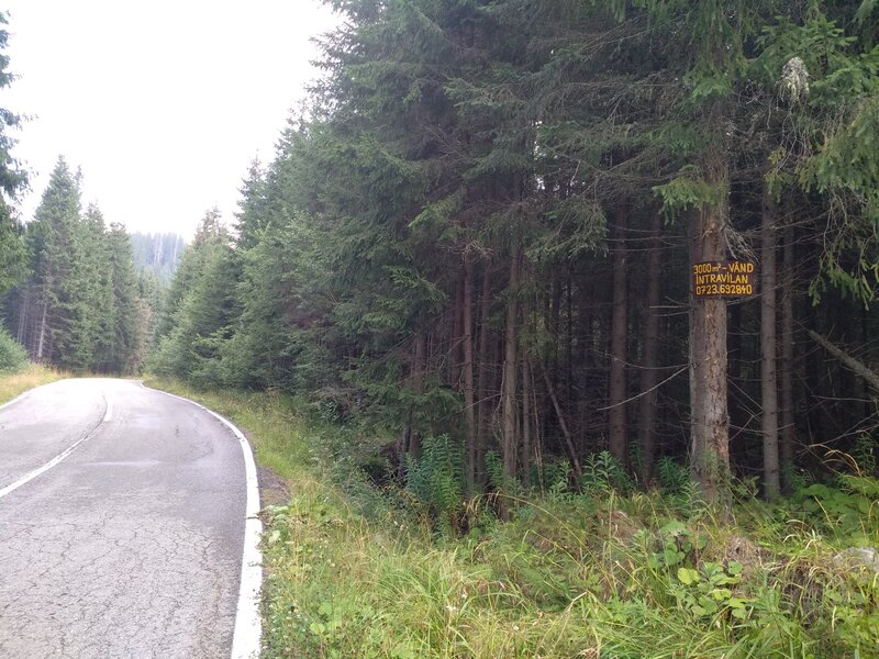 Zona Puru, lac Vidra, Voineasa, jud. Valcea