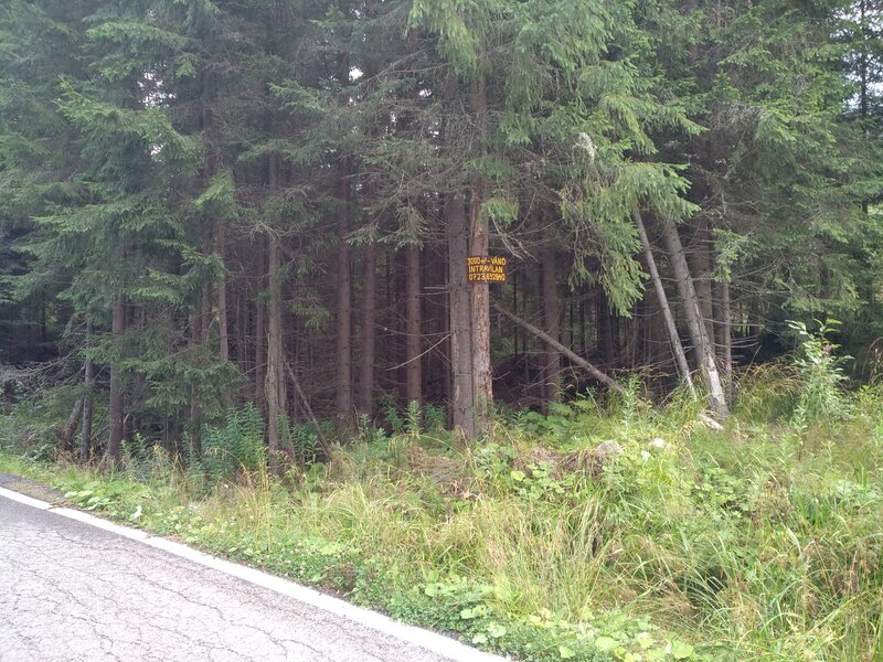 Zona Puru, lac Vidra, Voineasa, jud. Valcea